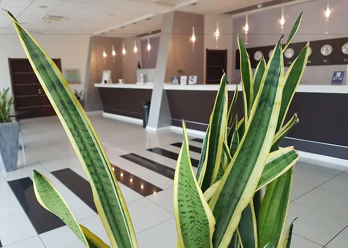 Hotel Western Class Lamezia