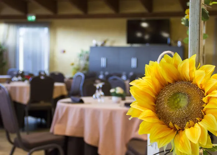 Western Class Lamezia